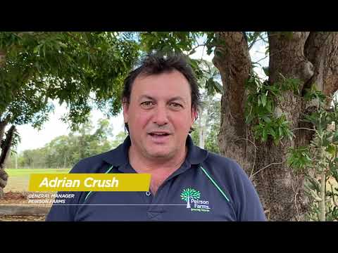 Transition 2 Success – Adrian Crush – Peirson Farms